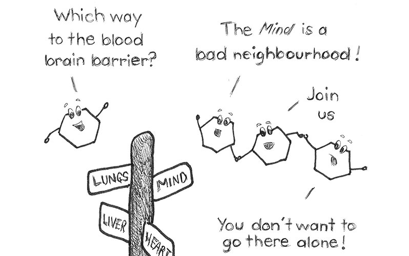 The Neighbourhood of my Mind