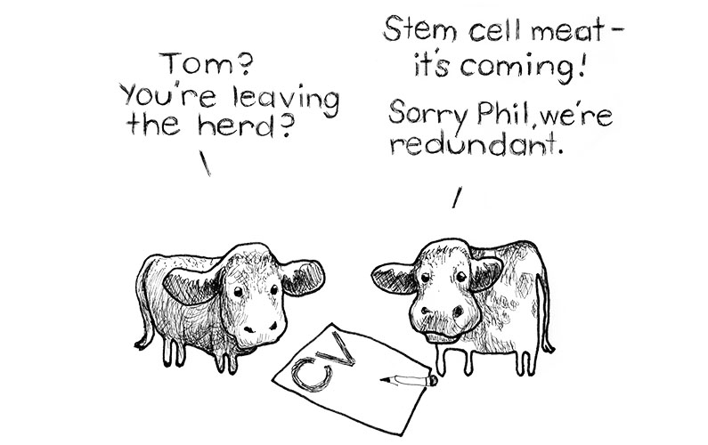 Stem Cell Meat