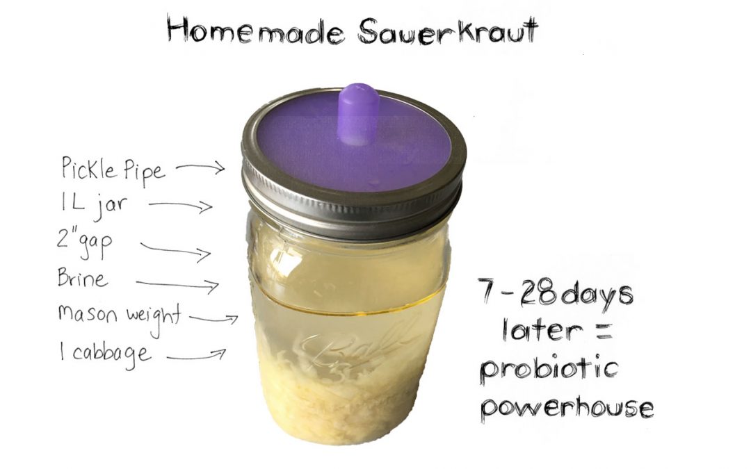 Fermenting your own Sauerkraut – a party for your Gut Flora