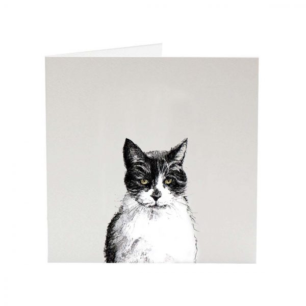 Top Cat Smudge greeting card