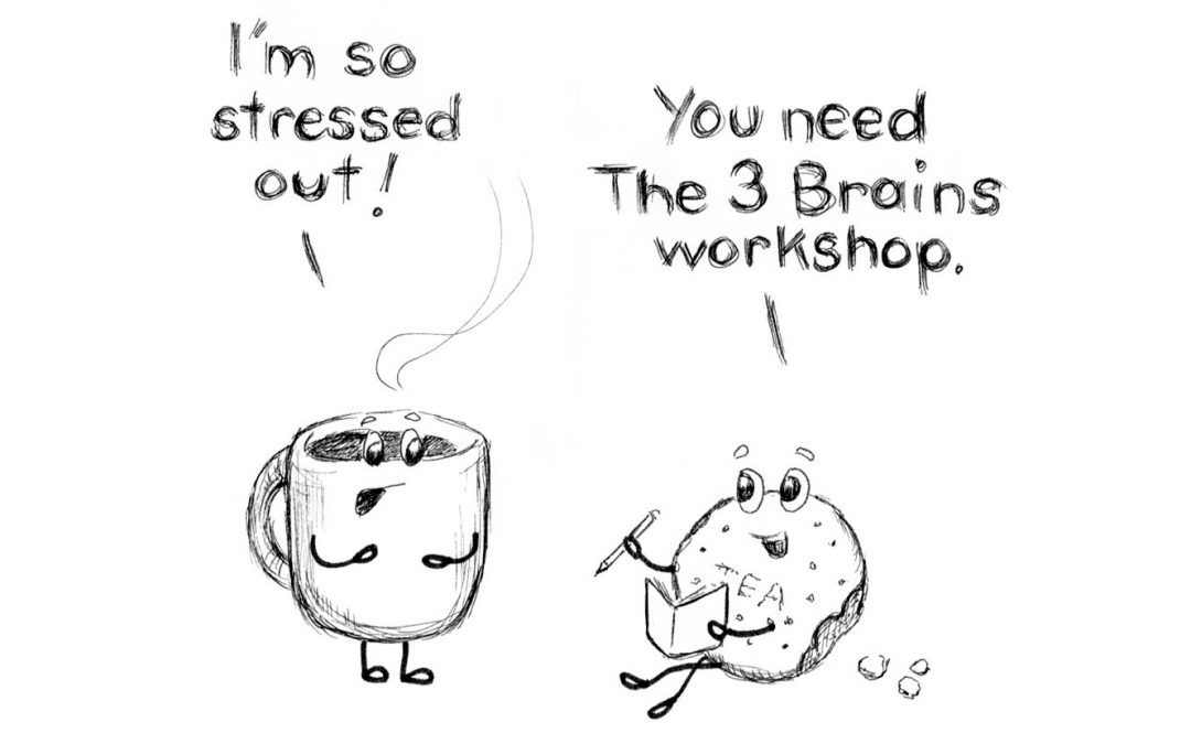 Are you or your employees or co-workers stressed out? Our 3 Brains Workshop is here to help!