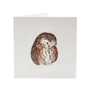 Archie the Tawny Owl greeting card by Sarah Jane Vickery
