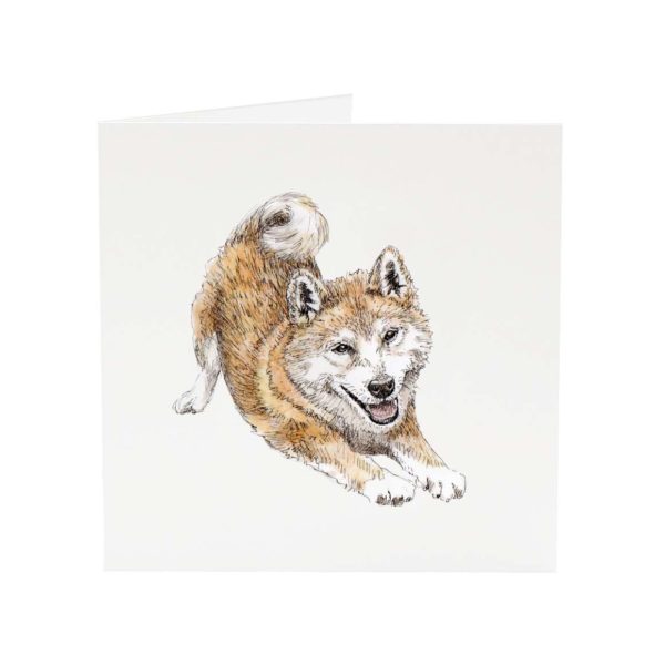 Shiba Inu dog greeting card