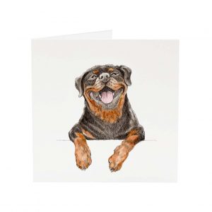 Rottweiler dog greeting card hand drawn