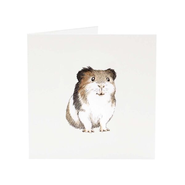 Gus the Guinea Pig greeting card
